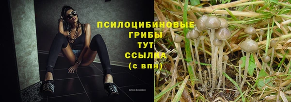 наркотики Алексин