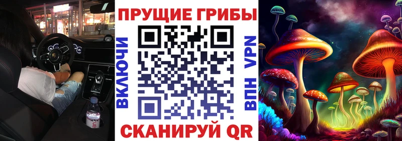 Псилоцибиновые грибы прущие грибы Сергач